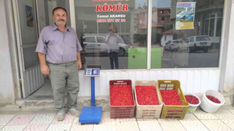 Hisarcıkta kızılcık üretimi arttı fiyatlar 15 TLye düştü