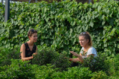 Fransadan Bisikletiyle Geldi, Nilüferin Tarım Çalışmalarını İnceledi