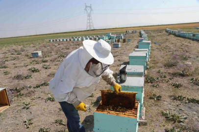 Konya Büyükşehir destekledi, bal üreticisinin rekoltesi arttı