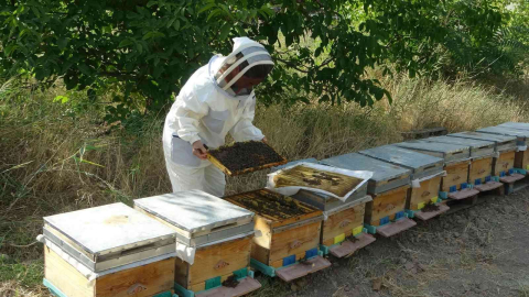 MTÜde bal hasadı tamamlandı