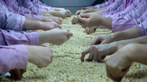 Yılın ilk 7 ayında 11 bin 81 ton fındık ihraç edildi