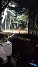 Uludağa Tatile Giden Aile Ayıyla Karşı Karşıya Geldi