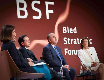 Çavuşoğlu: “Ukraynanın toprak bütünlüğünün garanti altına alınması lazım”