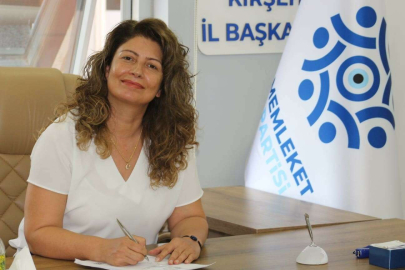 Memleket Partili Baltalık, Kamunun şişirdiği ekonomi hararet yaptı