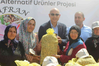 Uşak ili için alternatif yeni bir ürün; Safran