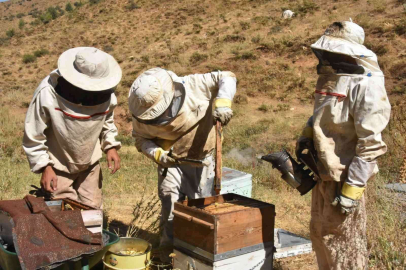 Bitlis balı Londrada ‘Altın Bal yarışmasında birinci oldu