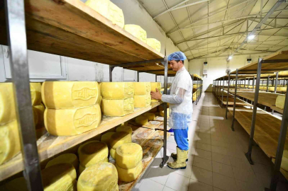 İzmirli üretici Terra Madre Anadolu ile dünyaya açılıyor