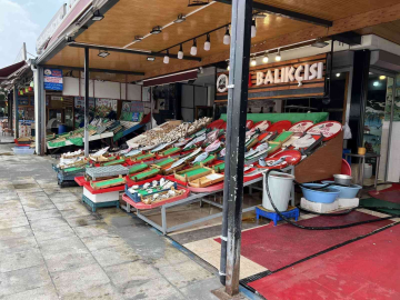 Balıkçılar bu sezon bolluk bekliyor, Vira Bismillah diyecekler