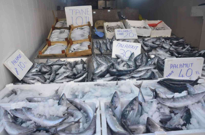 Sinopta palamut 10 liraya düştü