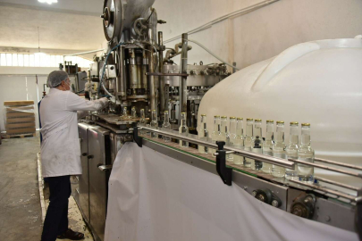 Karatayın lavantası ekonomiye katkı sağlıyor