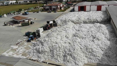 TARİŞe rağbet arttı, depolar 10 bin 200 ton pamukla doldu