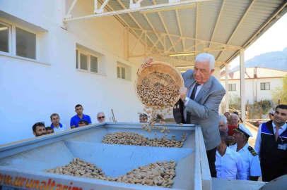 Datça Bademini ve Zeytinciliği yaygınlaştırılacak
