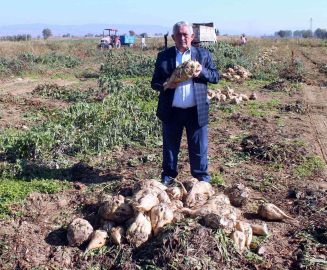Şeker Pancarında Kalite Seferberliği