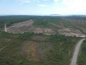 İleri: Sinop NGS konusunda planlama ve çalışma devam ediyor