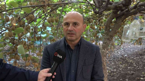 Yalova kivisi yurt dışı pazarına açıldı