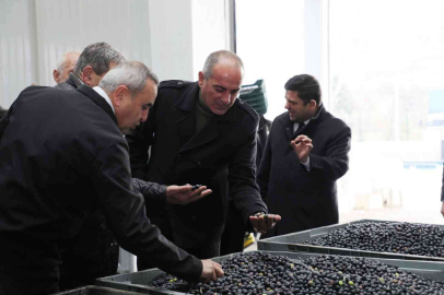 Gemlik Belediyesinden Bilimsel Tarım Hamlesi