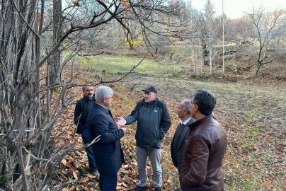 Bitliste kestane üretiminde verimi arttırma çalışmaları sürüyor