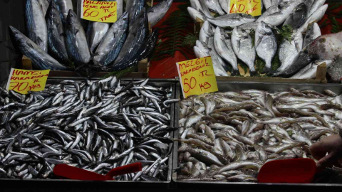 Havaların soğumasıyla birlikte balığa ilgi arttı