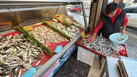 Tezgahlar hamsi ile şenlendi
