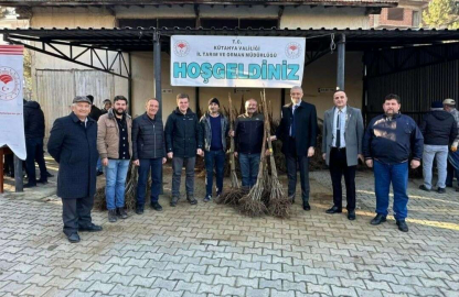 Simavda çiftçilere 7 bin 200 adet kestane fidanı dağıtıldı