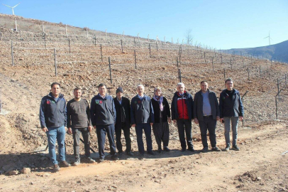 Bahçede telli terbiye sistemli üzüm bahçesi kuruldu