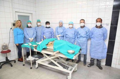 Nilüferde Sahipsiz Can Dostlar Kısırlaştırılıyor