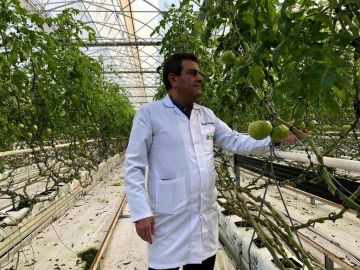 Avrupa Bu Domateslerden Almak İçin Sıra Bekliyor