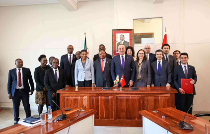 Dışişleri Bakanı Çavuşoğlu, Zimbabveli mevkidaşı Shava ile görüştü