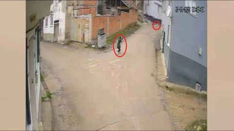 Bir Köpeği Daha Vurmuş