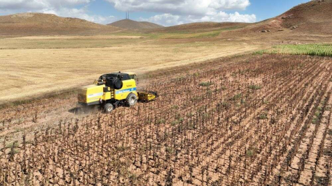 Tarımsal girdi fiyat endeksi bir yılda yüzde 112,41 arttı