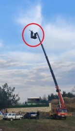 Alkollü Maganda Vincin Tepesine Çıkıp Alkış İstedi
