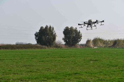 Söke Belediyesinin buğday arazisi dron ile gübrelendi