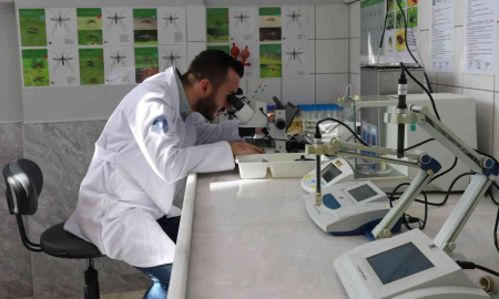 Sinekle Mücadele Laboratuvara Taşındı