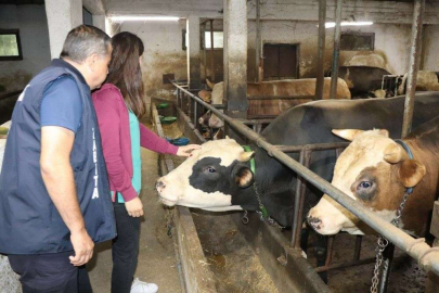 Düzce