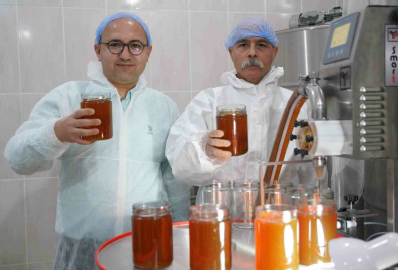 Doğal bal da TA damgası yol gösterici olacak
