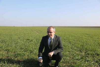 Pamuk ve mısırda düşüş yaşandı, kuraklık kriz merkezi oluşturuldu