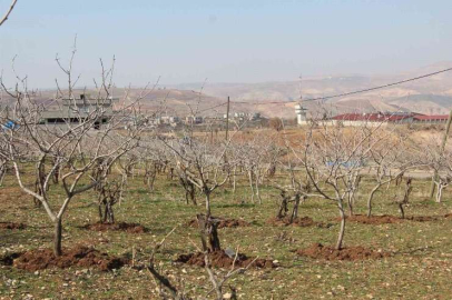 Kuraklık tedirgin ediyor: Umutlar mart ve nisan yağmurlarına kaldı