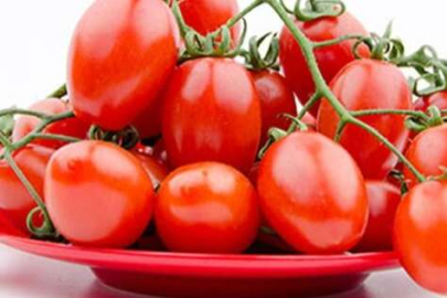 Domates ihracatına getirilen kısıtlama kaldırılmalı