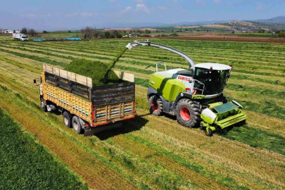 Üreticiler hasat için sahada