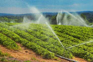 Çiftçilere yıl sonuna kadar su desteği