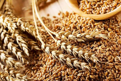 Karadeniz Tahıl Koridoru Anlaşması devam edecek mi?