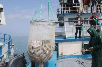 Samsun da Türk somonu hasadı başladı