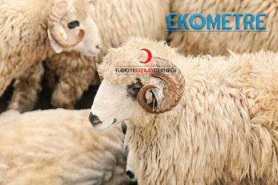 Kızılay, kurban bedeline yüzde 141 zam yaptı