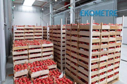 Yaş sebze meyve ihracatı 249,3 milyon dolar oldu