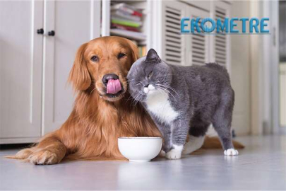 Pet sektörü ihracatını 400 milyon dolara çıkaracak