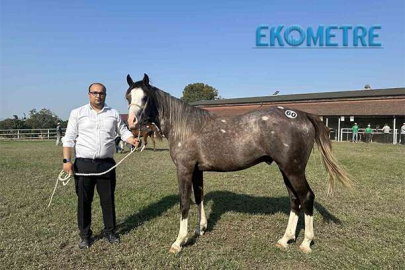 TİGEM 42 tay satışından 10 milyon lira gelir elde etti