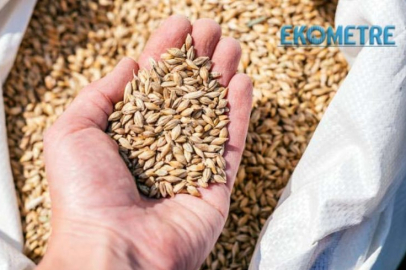 Rusya nın tavrı  buğday fiyatlarını yükseltti