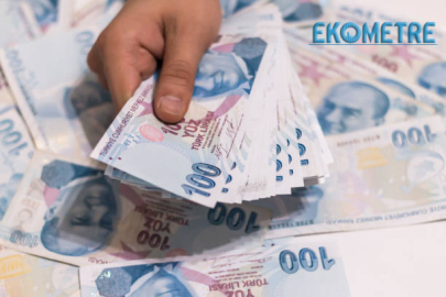 Hazine 43,8 milyar TL borçlandı