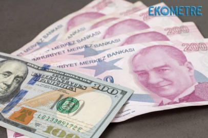 Citi Research liranın ağırlığını azalttı