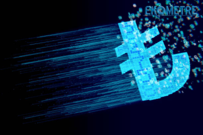 TCMB den Moneyout Eletronik Paraya faaliyet izni